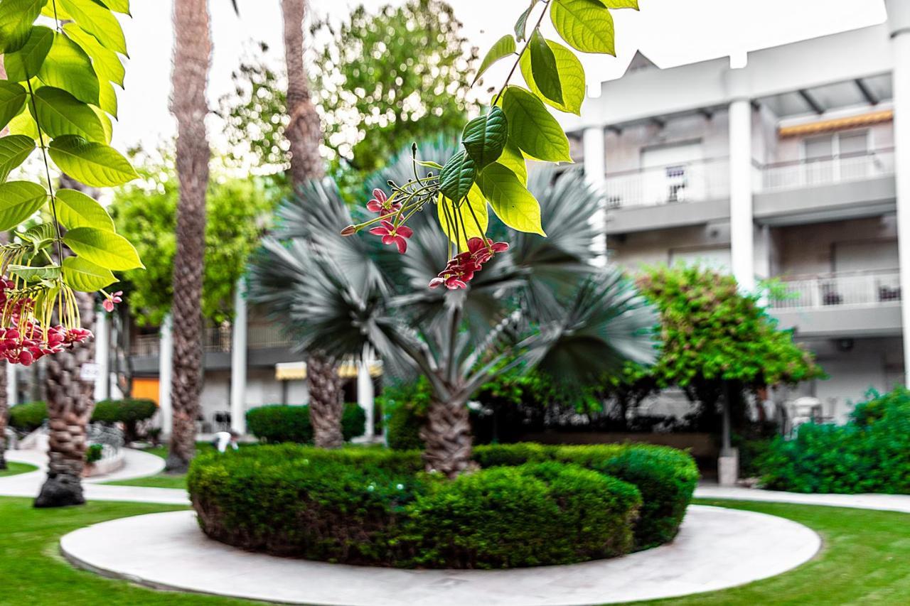 דירת גן פונה לבריכה - Pool Garden View Eilat公寓 外观 照片